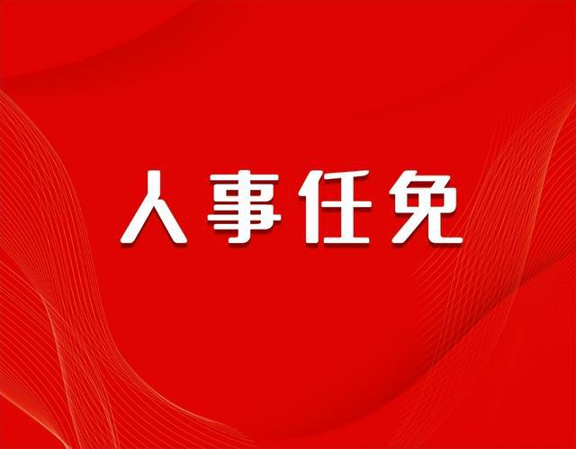 朔州市平鲁区人民代表大会常务委员会任免职名单