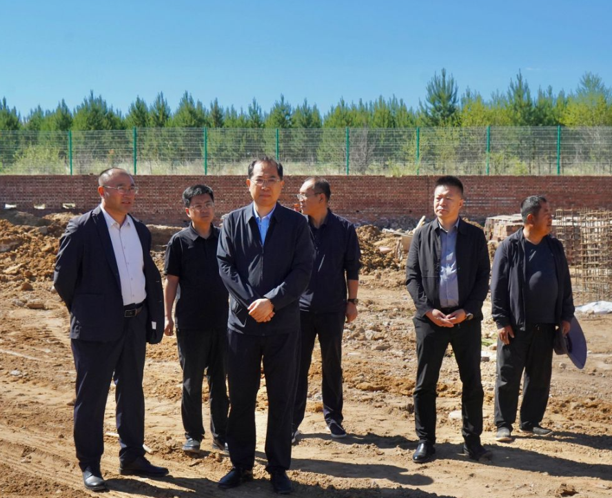 石生华深入新城镇调研重点工作推进情况